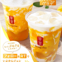 【限定販売】「いよかんマンゴー ミルクティー/いよかんマンゴー フローズンミルクティー」がゴンチャ ジャパンで4/28(木)より販売開始🥤